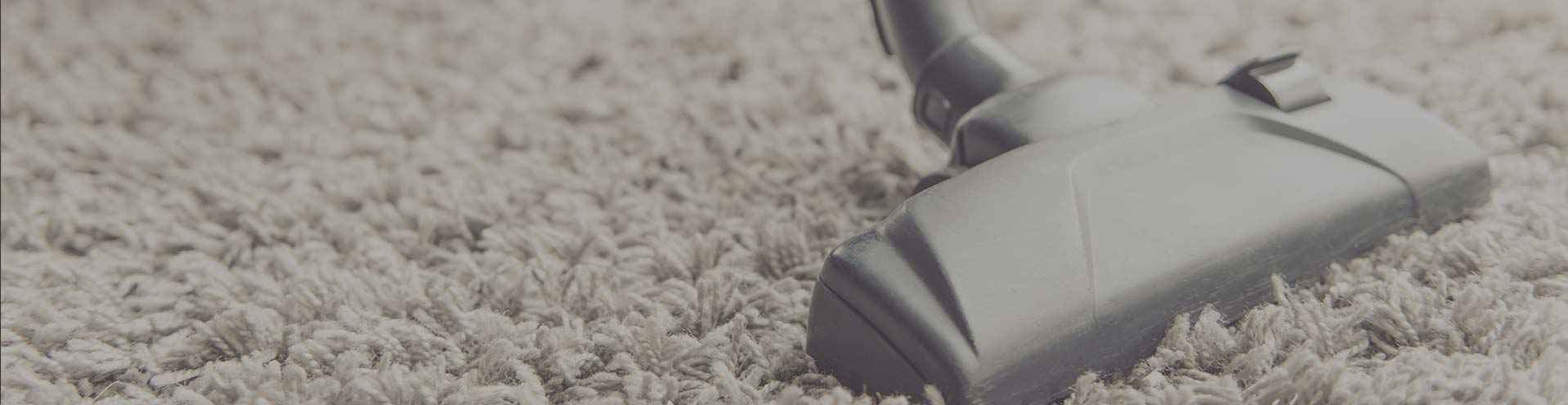 The 10 Best Carpet Cleaners in Waratah, NSW - Oneflare