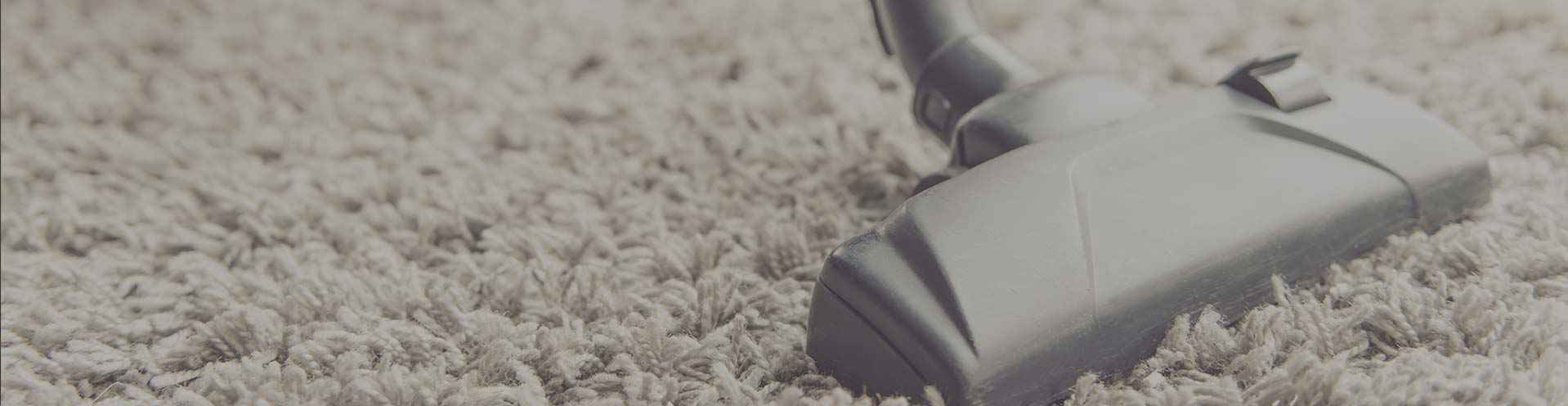 The Best Carpet Cleaners In Canberra The Riotact